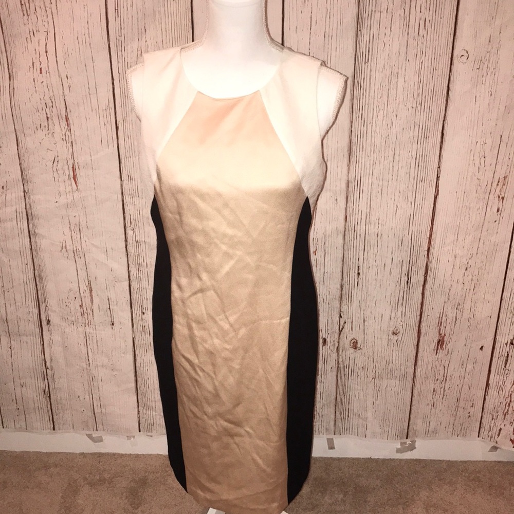 Ann Taylor dress